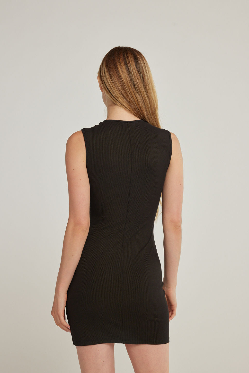 Alana Rib Dress - Black Sheen